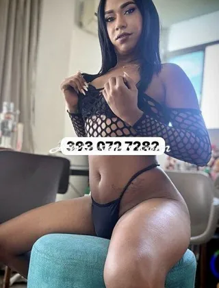 20 - Sabri Attiva Xl Trans Trento - 3930727282