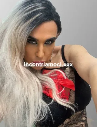 19 - Calda Cerco Giovane Trans Milano - 3512757728
