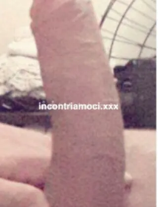 11 - Vittoria Trans Torino - 3516824981