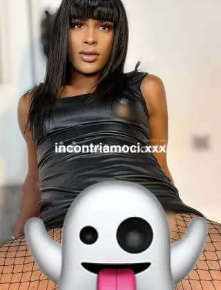 19 - Talia Trans Rovigo - 3520624467