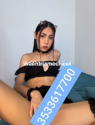7 - Violeta Trans Roma - 3533617700