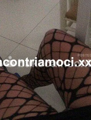 6 - Gaga Trans Ravenna - 3450467573
