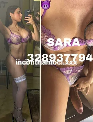 33 - Sara Trans Genova - 3289377943