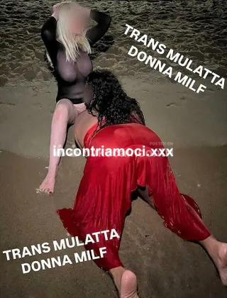 9 - Ines Trans Monza e della Brianza - 3520694490