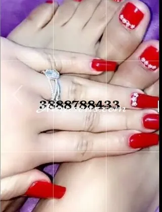 34 - Leyla Trans Venezia - 3888788433