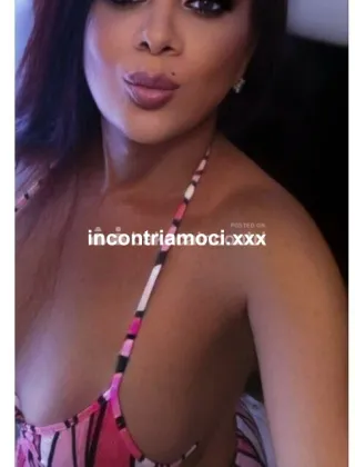 5 - Angely Trans Latina - 3533570200