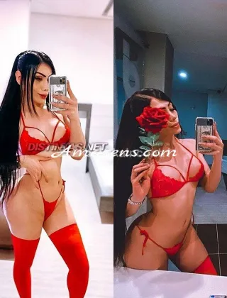 6 - Carolina Trans Como - 3888857724