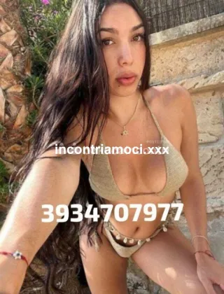 3 - New Trans Venezia - 3934707977