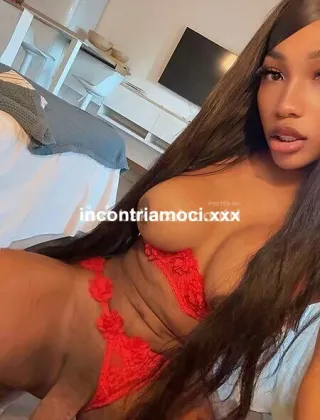 2 - Maya Trans Verona - 3512839813