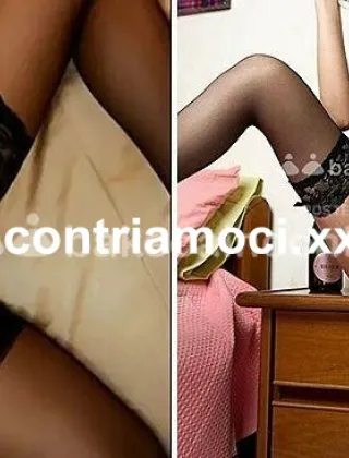 16 - Klara Trans Cosenza - 3533504397