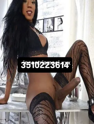34 - Paloma Trans Brescia - 3510223614