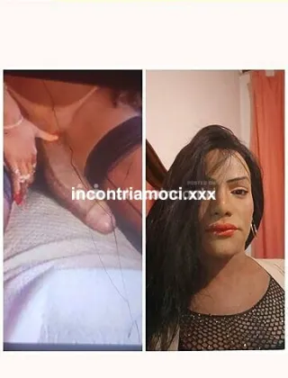 26 - Marina Trans Ancona - 3273510292