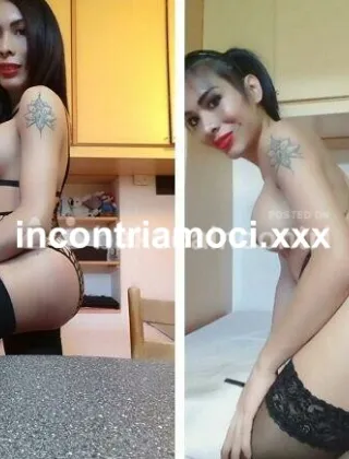 2 - Mariana Trans Rimini - 3292151691