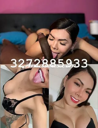 15 - Emily Trans Torino - 3272885933