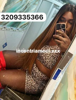 31 - Paloma Trans Caserta - 3209335366