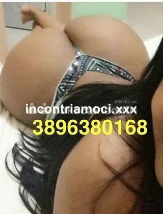 3896380168 - Sexy 24 Escort Pesaro e Urbino