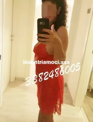 5 - Milf Napoletana Escort Caserta - 3382486005