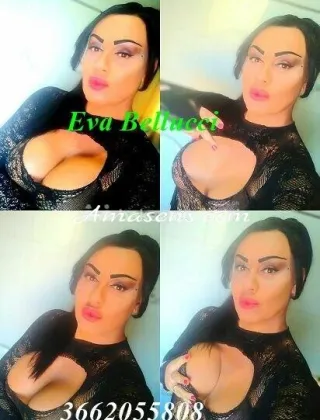 3 - Eva Trans Catanzaro - 3662055808