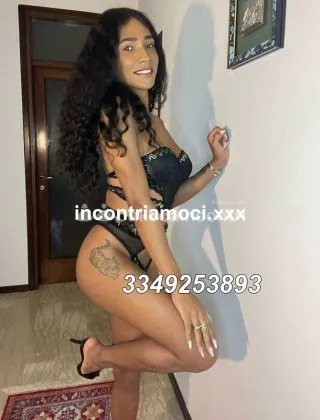 20 - Zara Trans Belluno - 3349253893