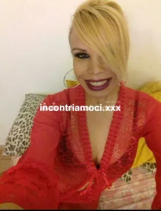 11 - Monse Trans Milano - 3421278312