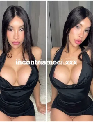 19 - Play Boy Trans Perugia - 3315824143