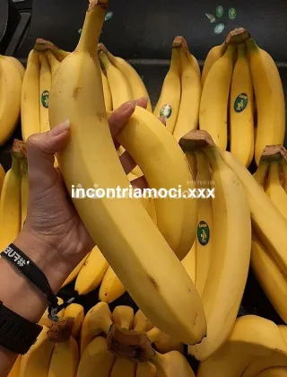 20 - Torodotatoxx Coppie Latina - 3662984882