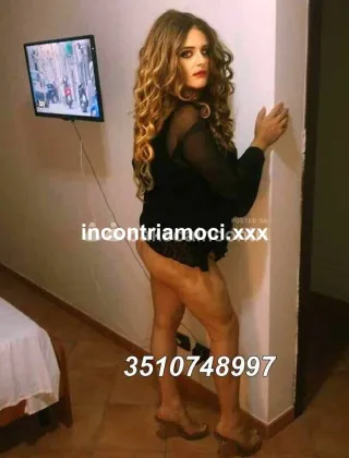 6 - Megadonte Trans Pesaro e Urbino - 3510748997