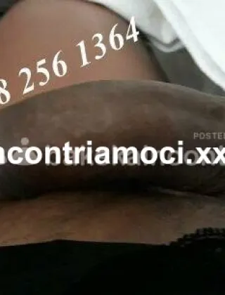 21 - Lana Trans Genova - 3282561364