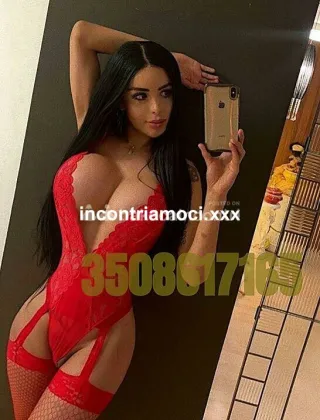 20 - Nina Trans Caserta - 3508617162