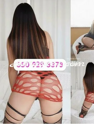 2 - Scarlett Trans Varese - 3509293378