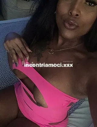 27 - Viola Trans Varese - 3520166989
