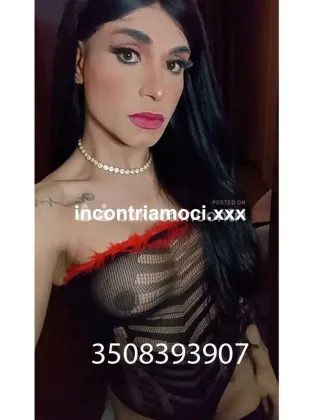 25 - Bruna Trans Vicenza - 3508393907