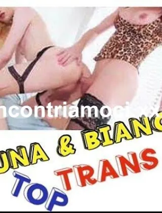 2 - Bianca Trans Arezzo - 3272960867