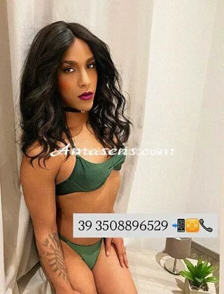 9 - Biia Trans Ravenna - 3508896529