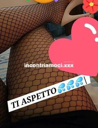 26 - Pamy Escort Modena - 3294849303