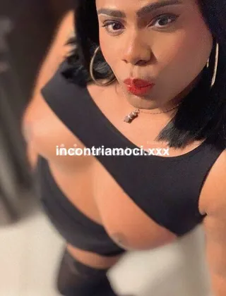35 - T????????22Cm?? Trans Roma - 3520760870
