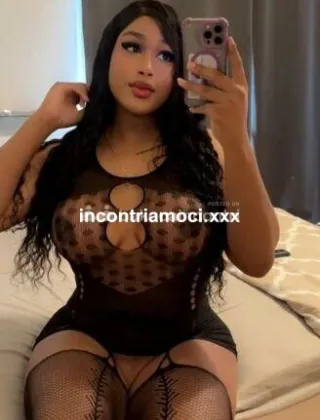 18 - Ariana Trans Modena - 3508988705