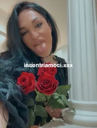3516183908 - Anna 23 Escort Trapani