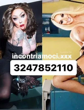 24 - Telma Trans Teramo - 3247852110