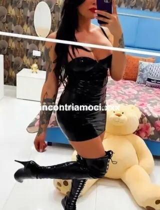 16 - Kim Trans Caserta - 3313252921