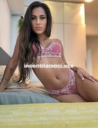 7 - Loren Trans Reggio Emilia - 3510047704