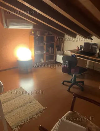 2 - Massaggi Brescia - 3311715059