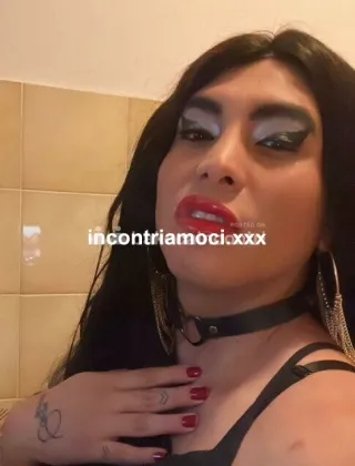 9 - Regina Trans Varese - 3277166494