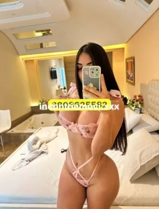 22 - New Trans Venezia - 3808625582