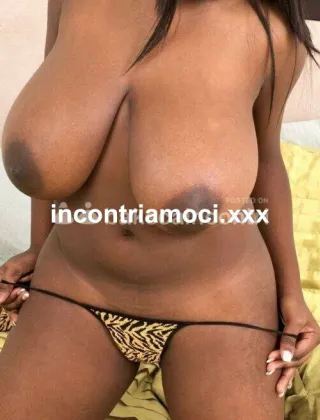 28 - Anna Escort Lodi - 3510391731