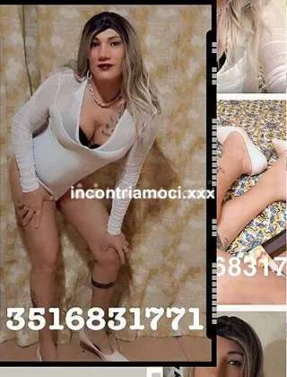20 - Bella Trans Trans Alessandria - 3516831771