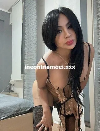 29 - Brenda Trans Bologna - 3805931784