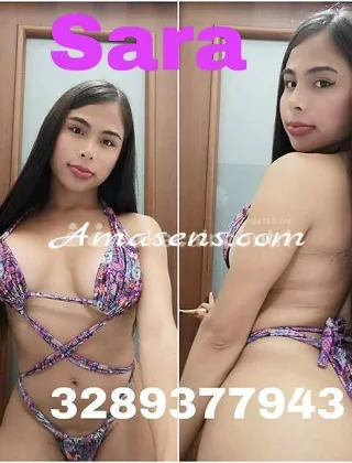 22 - Sara Trans Genova - 3289377943