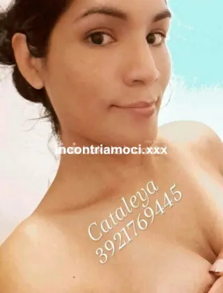 3 - Ginevra Trans Milano - 3921769445