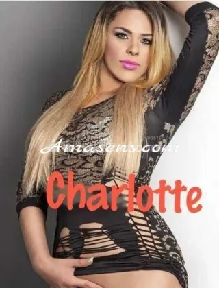 3 - Charlotte Trans Venezia - 3511486390
